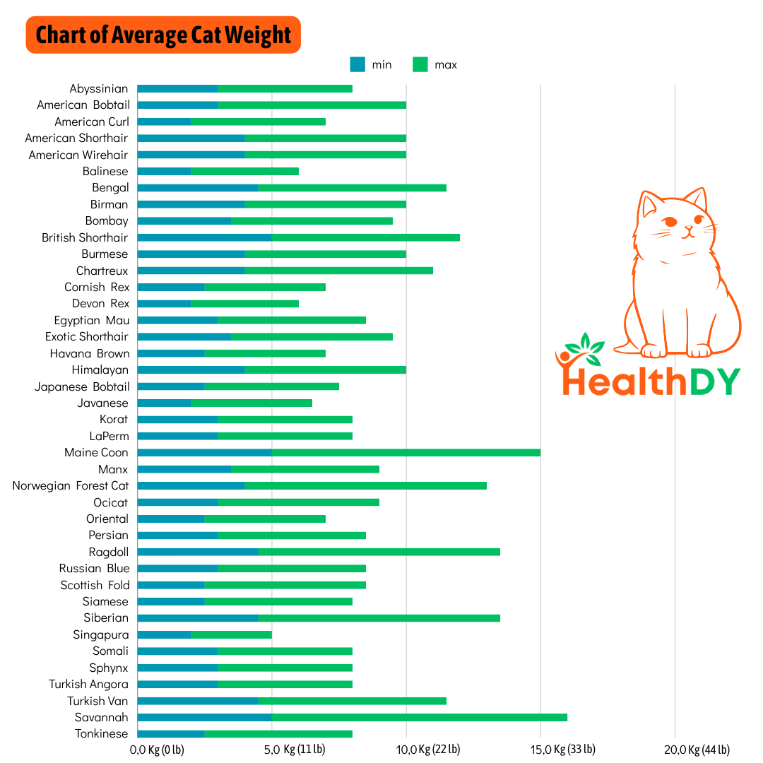 chart of the average weights for different breeds of cats